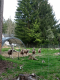 Besuch-im-Archedorf-in-Kleinwendern-im-Mai-2