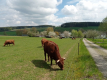 Besuch-im-Archedorf-in-Kleinwendern-im-Mai-3