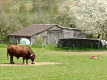 Besuch-im-Archedorf-in-Kleinwendern-im-Mai-4